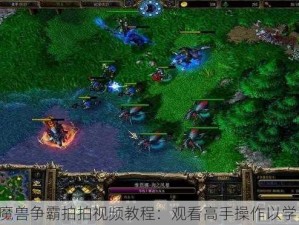 魔兽争霸拍拍视频教程：观看高手操作以学习实践