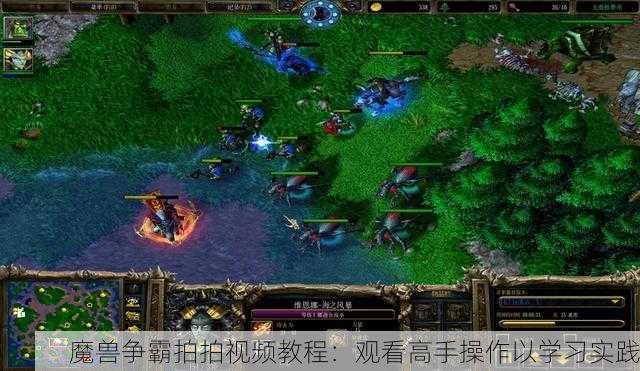 魔兽争霸拍拍视频教程:观看高手操作以学习实践